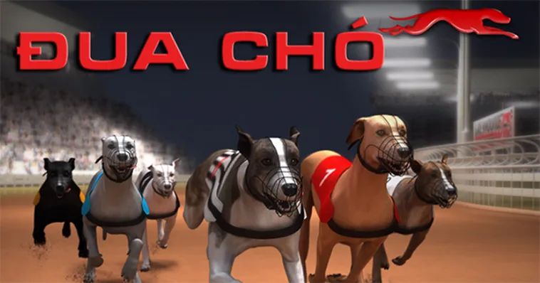 Bí Kíp Chơi Game Nhanh Đua Chó Tại HB88 Luôn Nắm Chắc Phần Thắng 2 Bí Kíp Chơi Game Nhanh Đua Chó Tại HB88 Luôn Nắm Chắc Phần Thắng